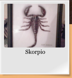Skorpio